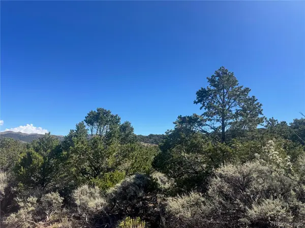 lot 7876 Stone RD, Fort Garland, CO 81133