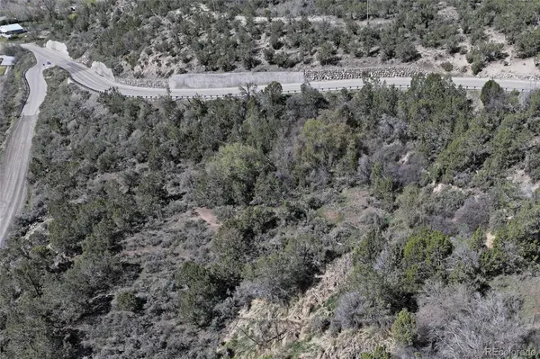 58450 Buzzard Creek RD, Collbran, CO 81624