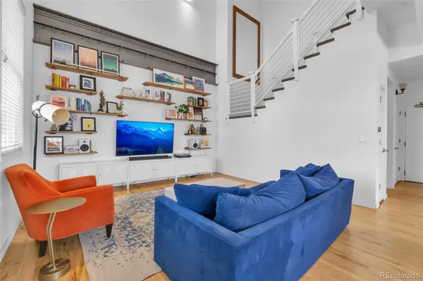 225 N Lincoln ST #1, Denver, CO 80203