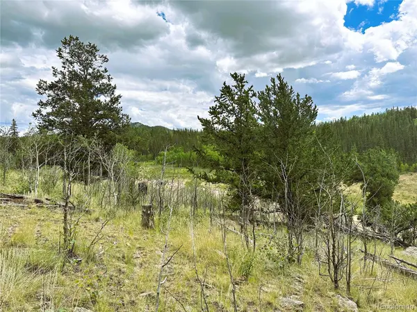 766 W Longbow DR, Como, CO 80432