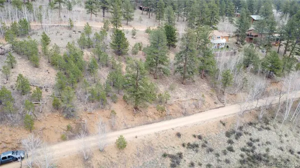 397 Neish ST, Bailey, CO 80421