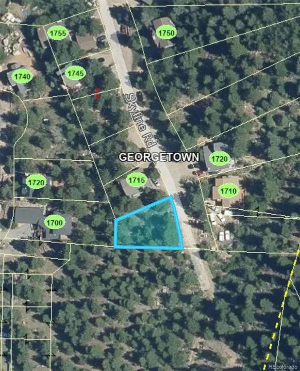 112 Skyline RD, Georgetown, CO 80444