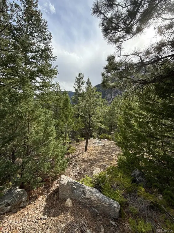 112 Skyline RD, Georgetown, CO 80444