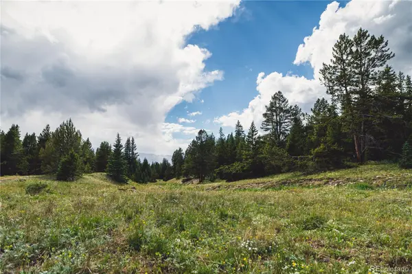 5347 Monitor, Leadville, CO 80461