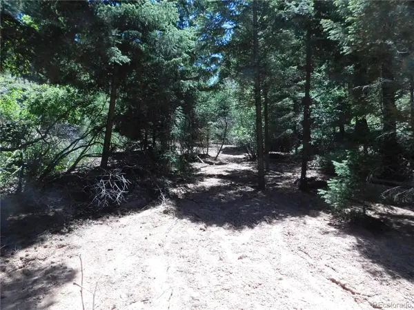 13175 Spruce Creek CIR, Larkspur, CO 80118