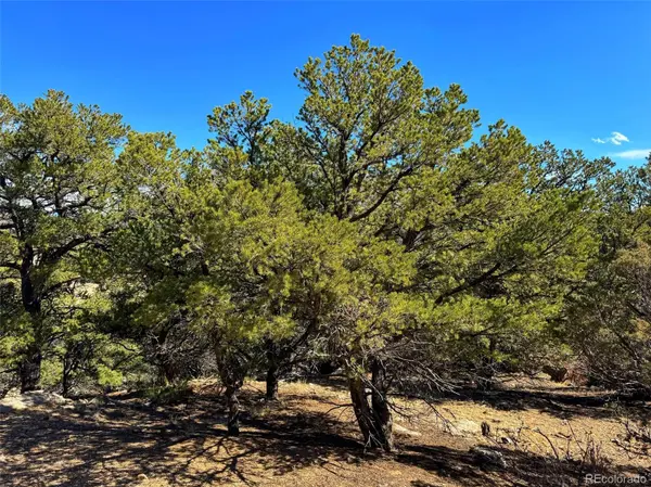 TBD Country Road 572, Gardner, CO 81030