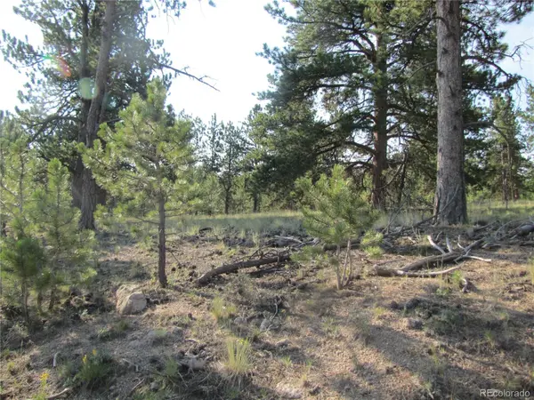 9736 Ranch RD, Hartsel, CO 80449