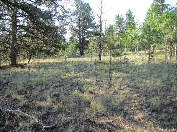 9736 Ranch RD, Hartsel, CO 80449