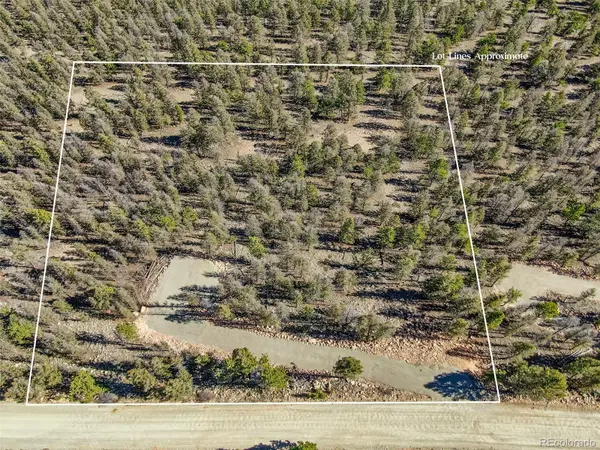 4538 Middle Fork VIS, Fairplay, CO 80440