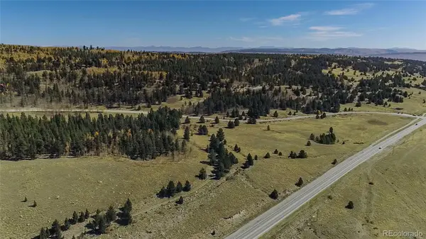 267 Platte River DR, Fairplay, CO 80440
