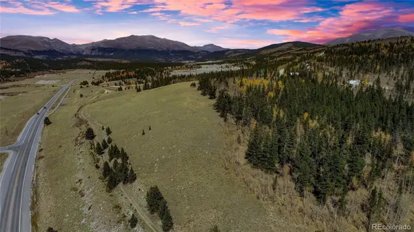 267 Platte River DR, Fairplay, CO 80440