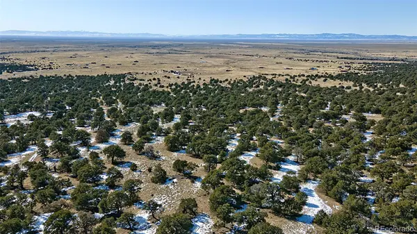 Naropa Tract, Crestone, CO 81131