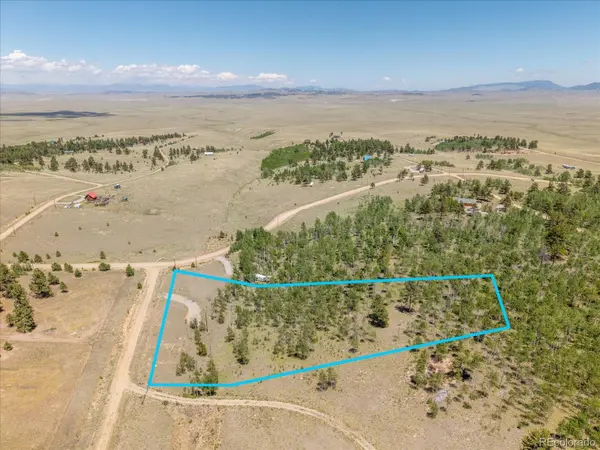 40 Brahma CT, Hartsel, CO 80449