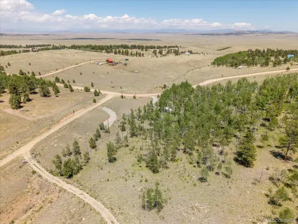 40 Brahma CT, Hartsel, CO 80449