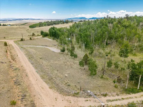 40 Brahma CT, Hartsel, CO 80449