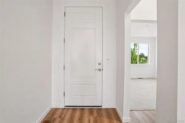 1460 Boyle ST, Windsor, CO 80550