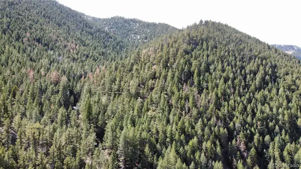 7893 Fourmile Canyon DR, Boulder, CO 80302