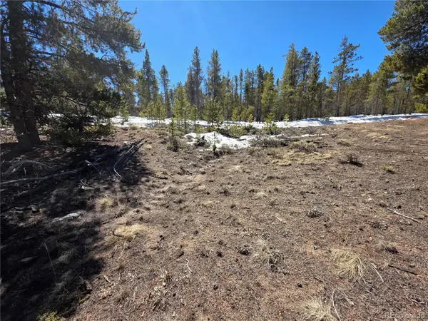 Pan Ark Lots 20 & 29, Twin Lakes, CO 81251