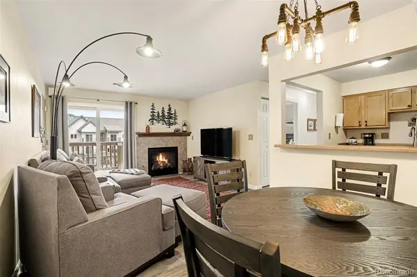 1890 Argentine ST #D304, Georgetown, CO 80444