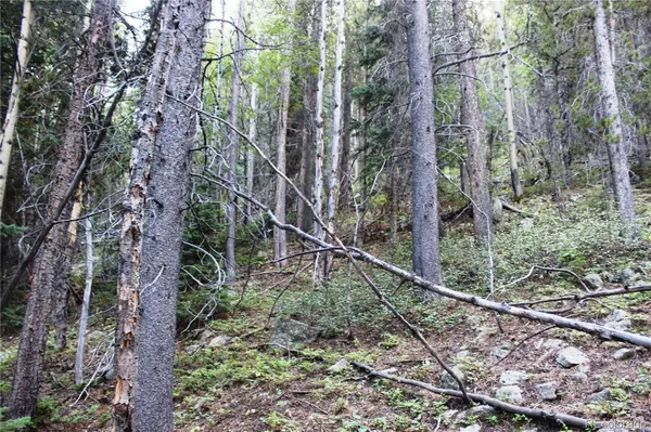 5340 FS 718.1, Black Hawk, CO 80422