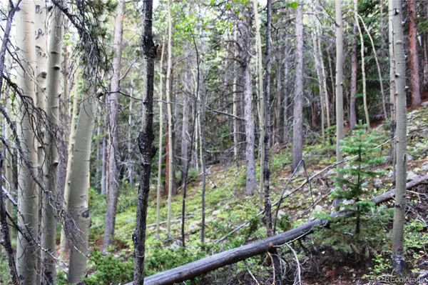5340 FS 718.1, Black Hawk, CO 80422