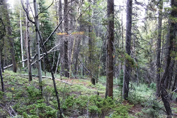 5340 FS 718.1, Black Hawk, CO 80422