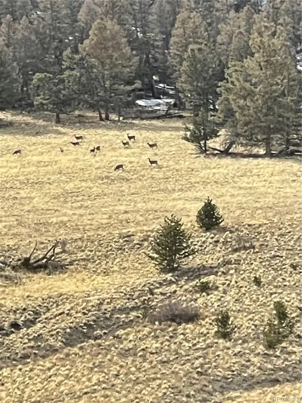 5123 Bar D RD, Como, CO 80432