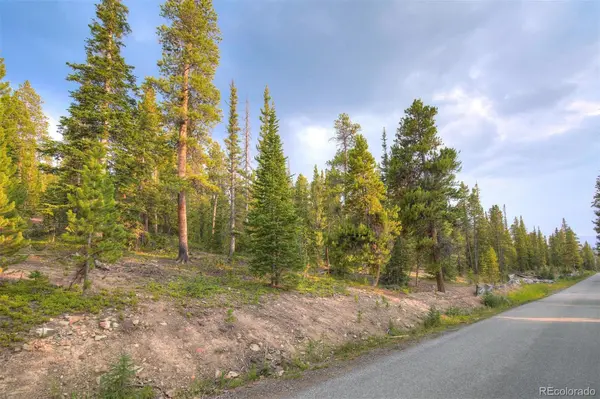 0190 Berlin Placer RD, Breckenridge, CO 80424