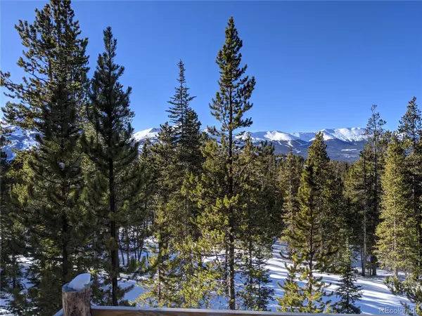 0190 Berlin Placer RD, Breckenridge, CO 80424