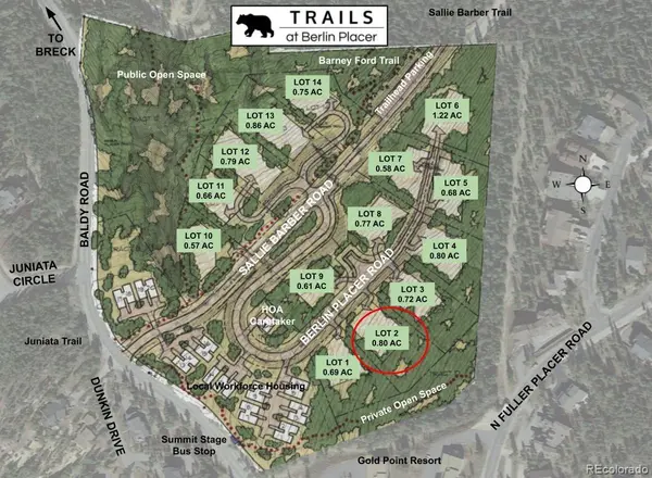 0190 Berlin Placer RD, Breckenridge, CO 80424