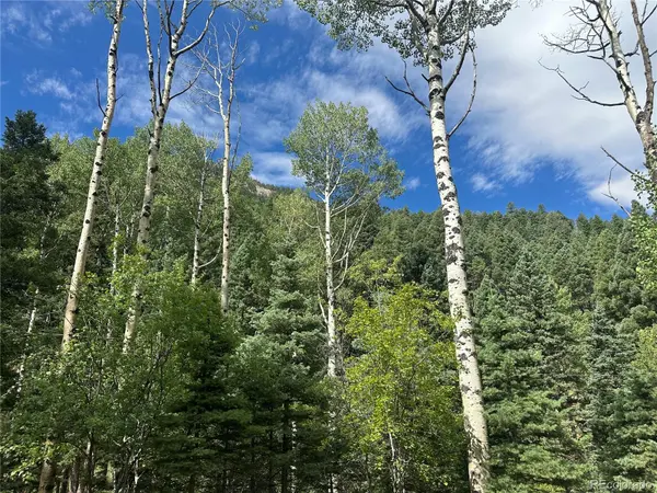 272 Fern Valley, Manitou Springs, CO 80829