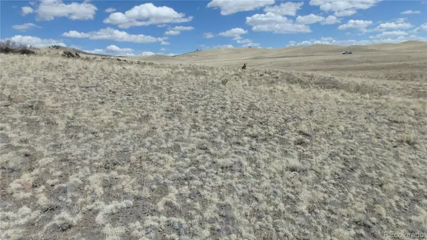 Seneca RD, Hartsel, CO 80449