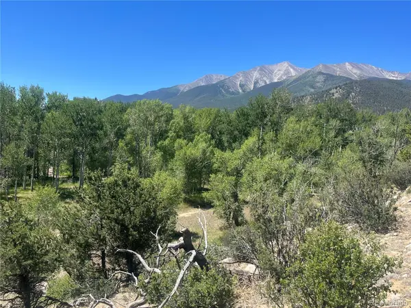 17573 Trout CIR, Buena Vista, CO 81211