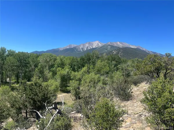 17573 Trout CIR, Buena Vista, CO 81211