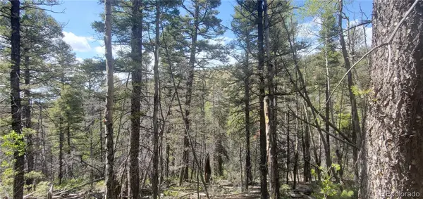 Lot 5610 Dawson RD, Fort Garland, CO 81133