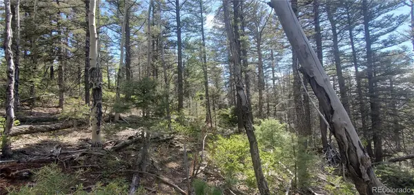 Lot 5610 Dawson RD, Fort Garland, CO 81133