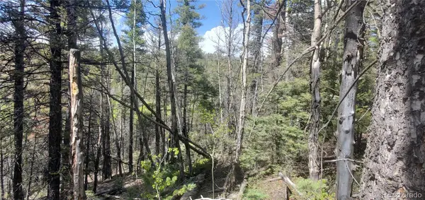 Lot 5610 Dawson RD, Fort Garland, CO 81133
