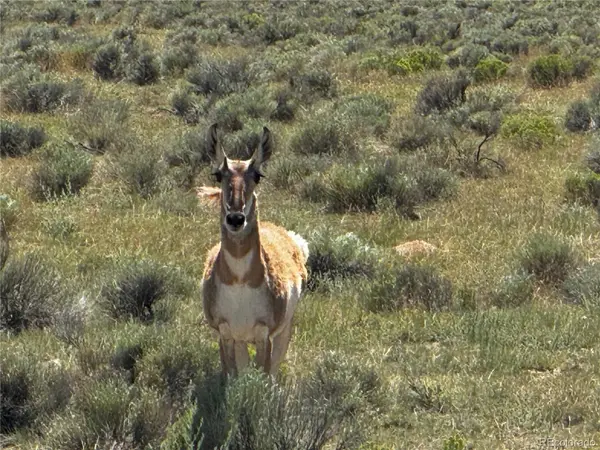 Lot 18 Russ RD, San Luis, CO 81152