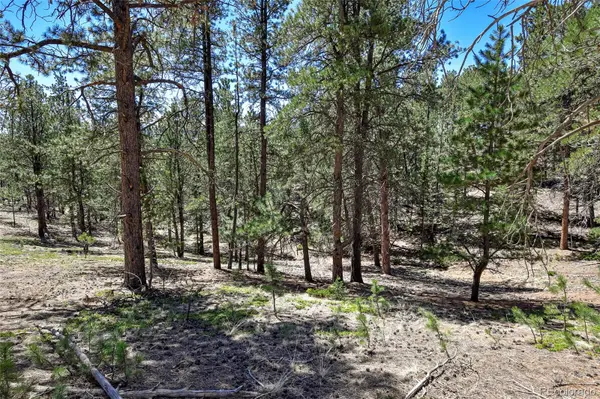860 Spring Valley DR, Divide, CO 80814