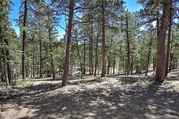 860 Spring Valley DR, Divide, CO 80814