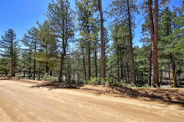 860 Spring Valley DR, Divide, CO 80814