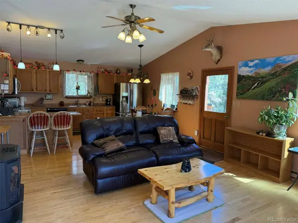 33623 Smith RD, Pine, CO 80470
