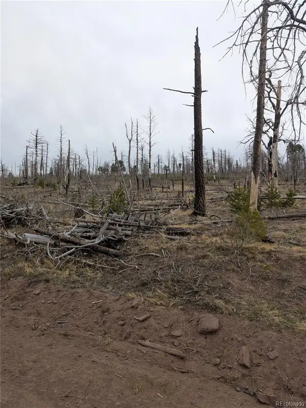 Lot 2296 Wohlstetter Loop, Fort Garland, CO 81133