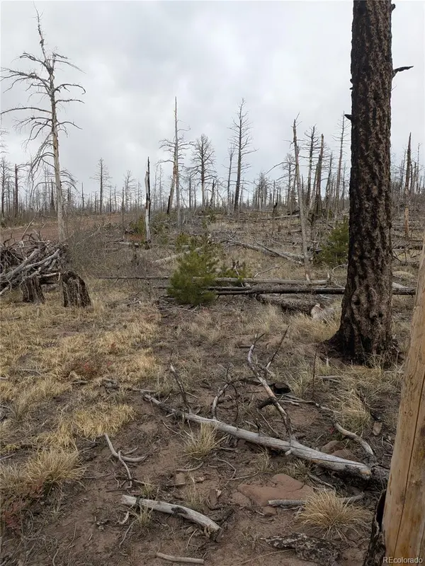 Lot 2296 Wohlstetter Loop, Fort Garland, CO 81133