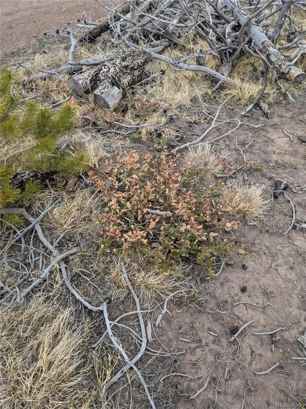 Lot 2296 Wohlstetter Loop, Fort Garland, CO 81133