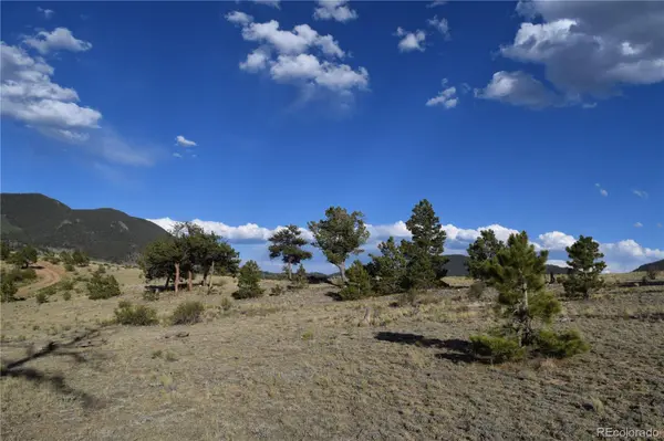 10682 Routt RD, Lake George, CO 80827