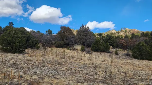 47 White Cloud DR, Cotopaxi, CO 81223