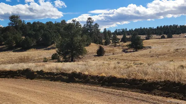 47 White Cloud DR, Cotopaxi, CO 81223