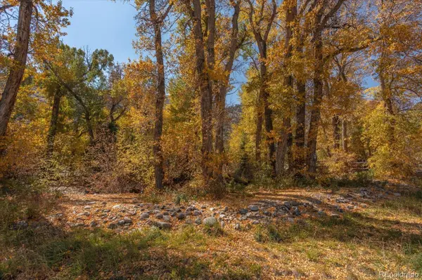 17380 Willow Tree DR, Salida, CO 81201