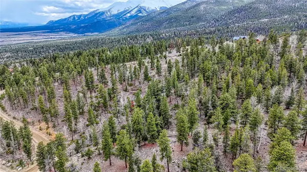30176 Mountaintop DR, Buena Vista, CO 81211